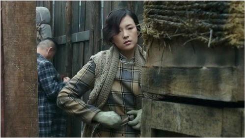 剧情国产,国破山河在  第3张