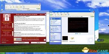 xp123国产,国产品牌的创新力量与市场影响力  第2张