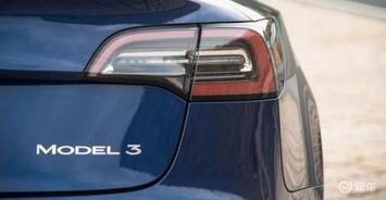 国产免,免生成技术引领未来创新浪潮  第3张