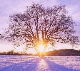 1024国产基地在线,探索中国科技产业的创新与发展  第3张